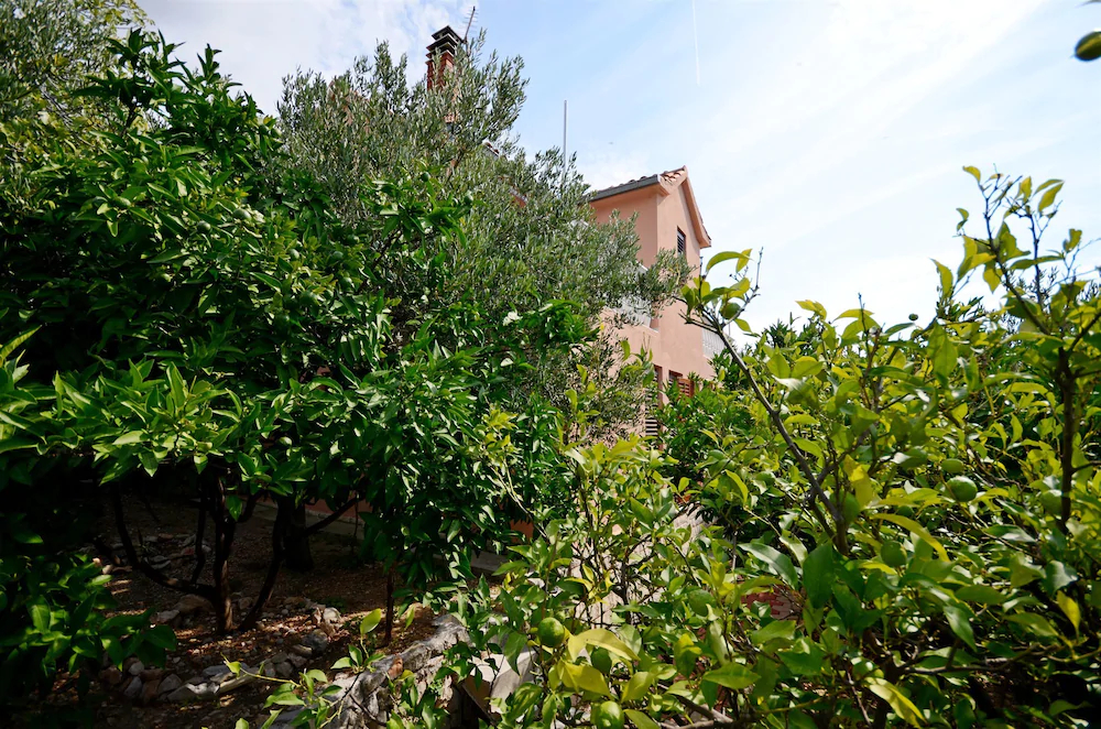 House Miroslav