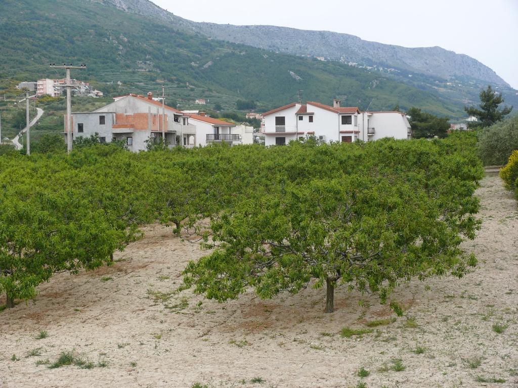 Apartments Stipe