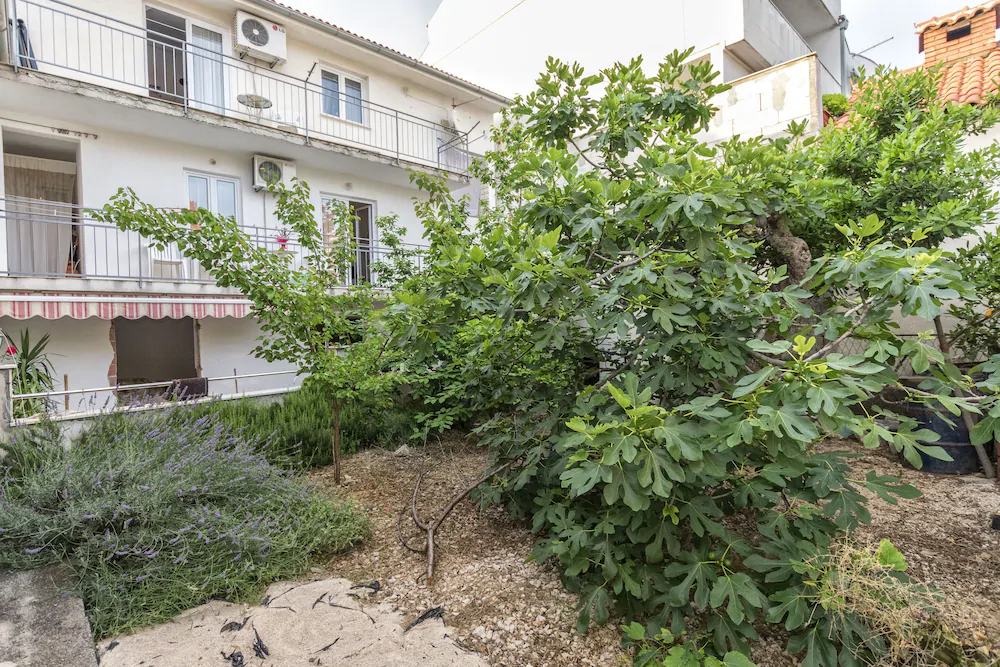 Apartment Marija D