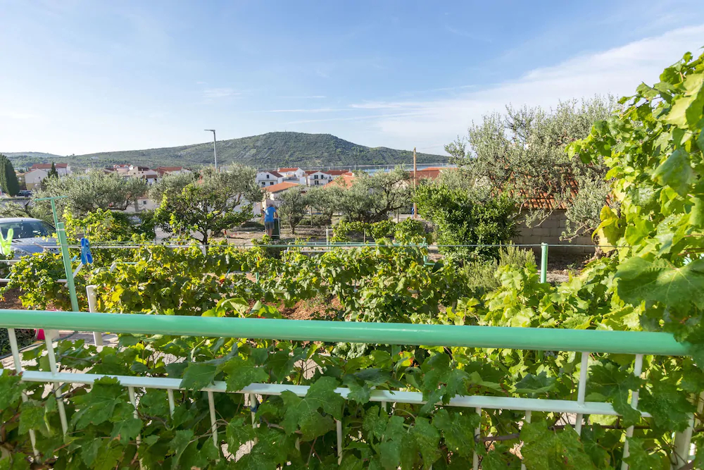 Apartments And Room Milka-Jere