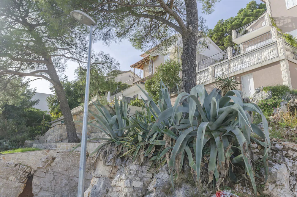 Apartments Katja