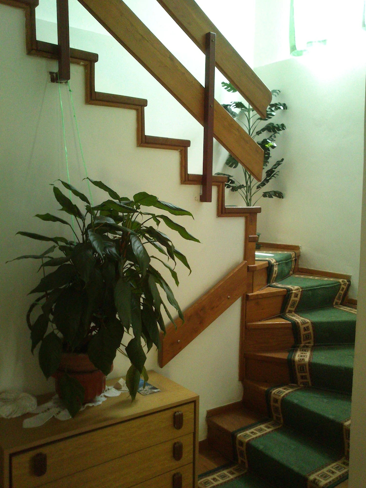 Apartments Villa Velin