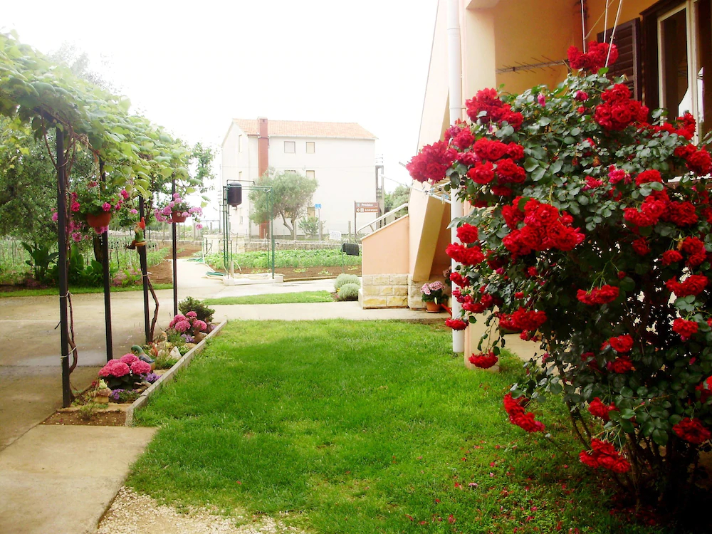 Apartments Sanja