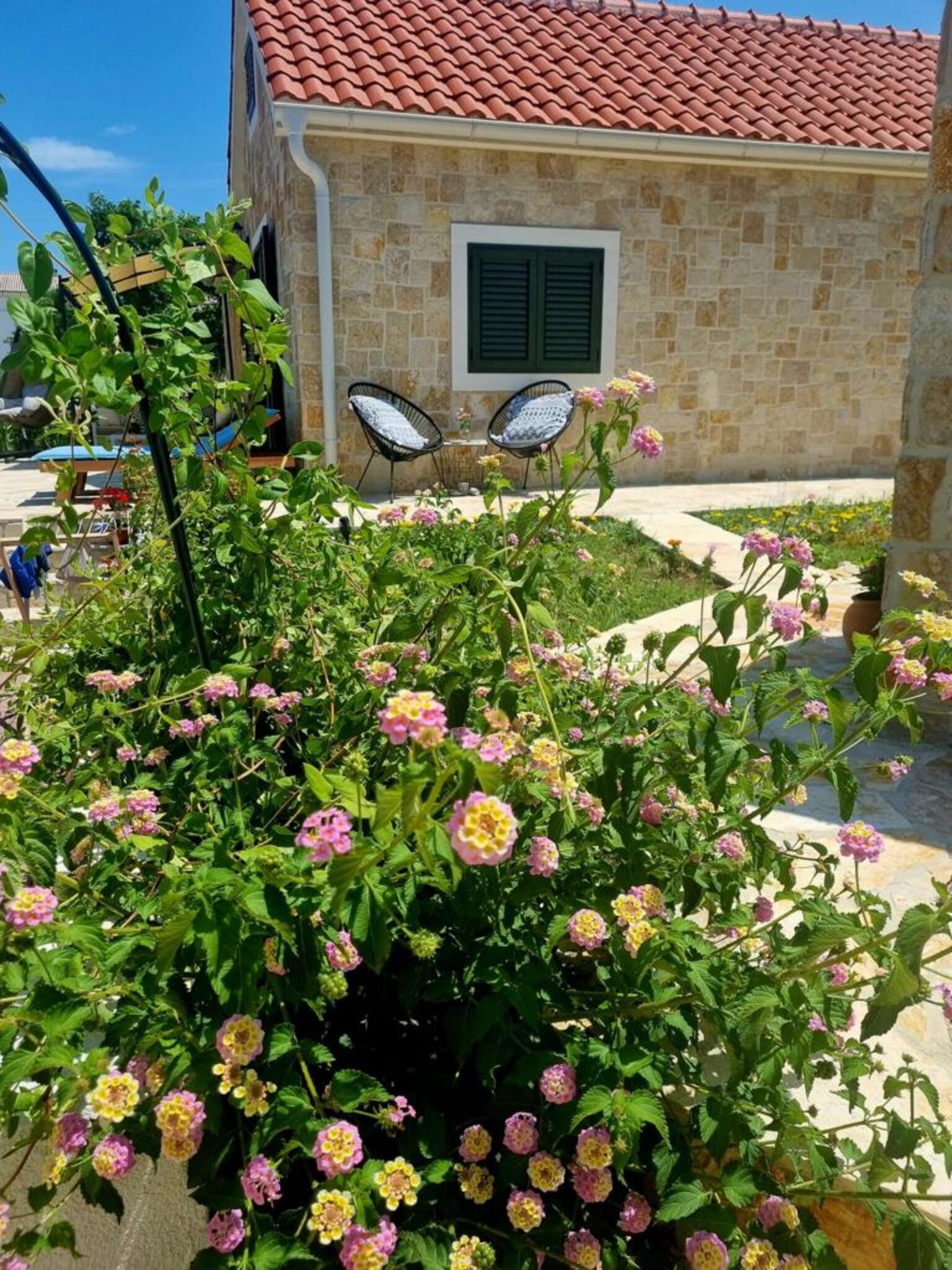 Beach House Calendula