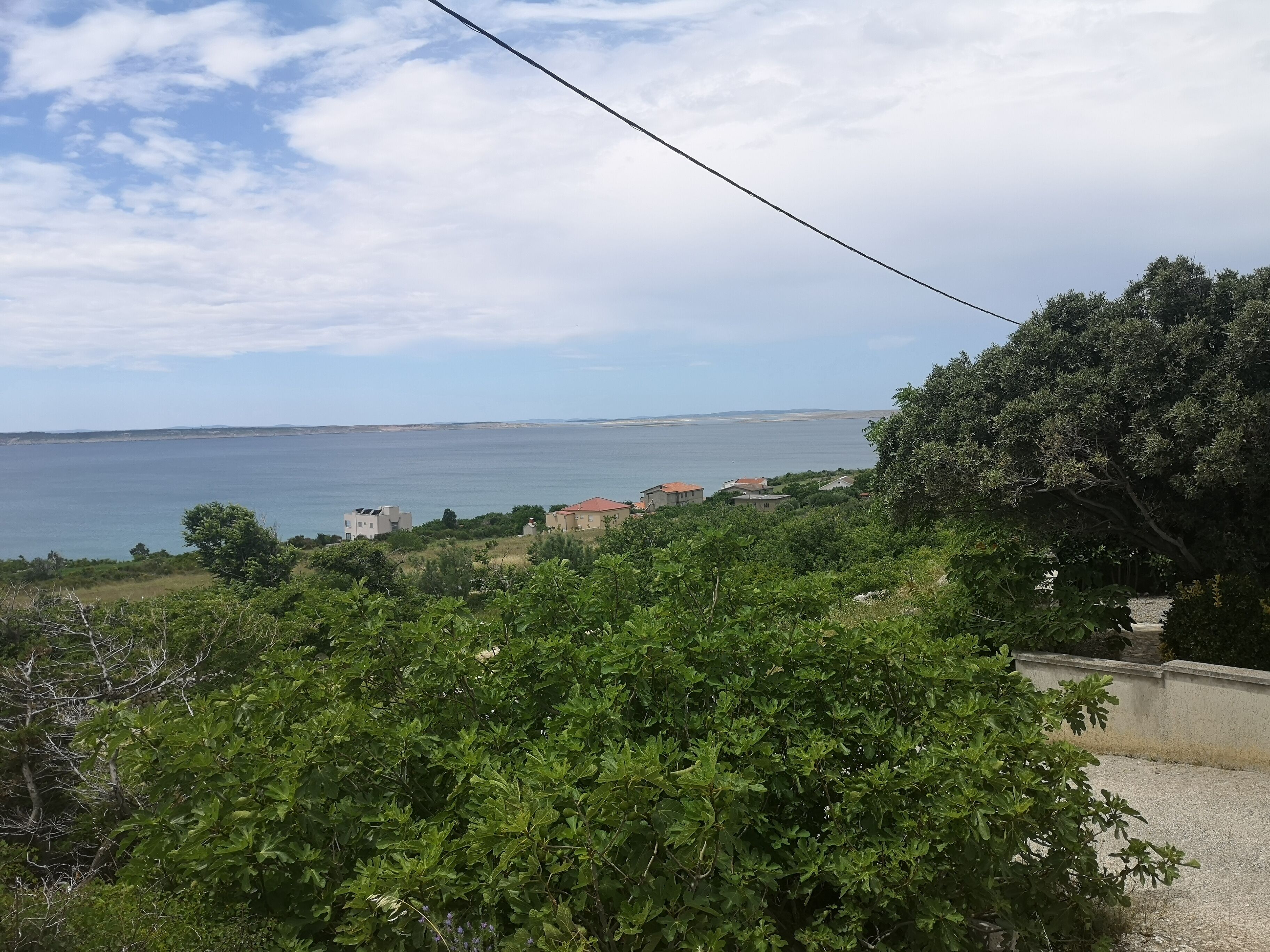 Moja Ane