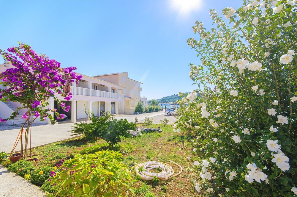 Apartments Ante