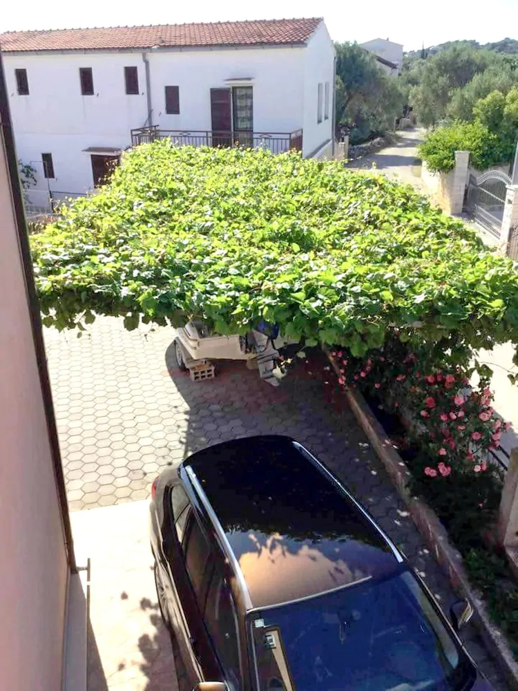 Apartments Antea