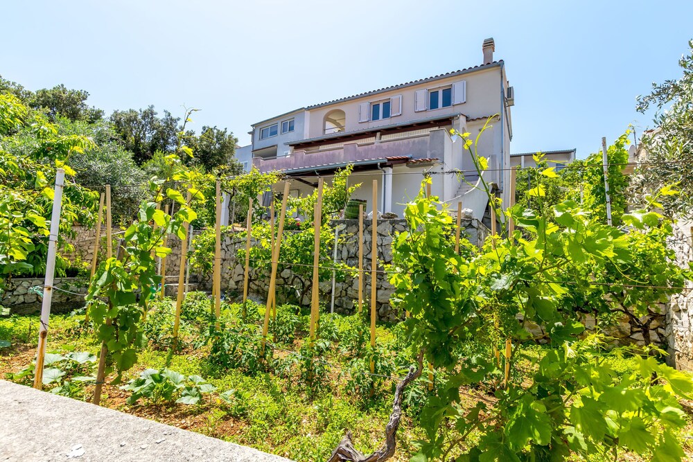 Apartments Božo