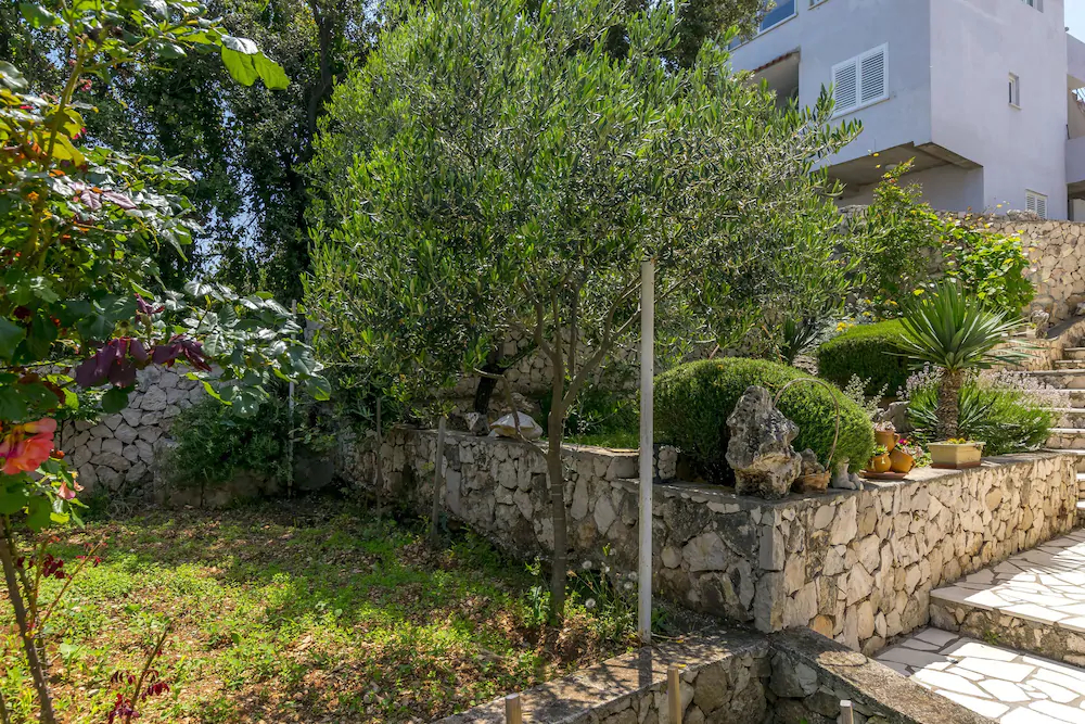 Apartments Božo