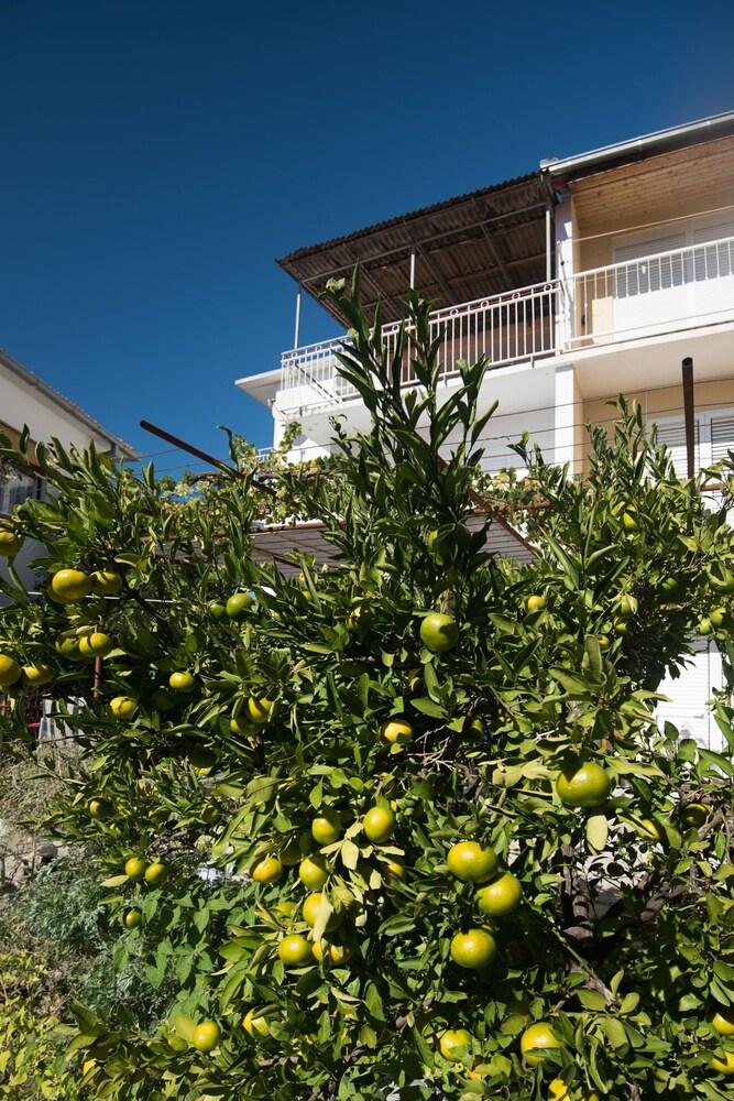 Apartments Marko
