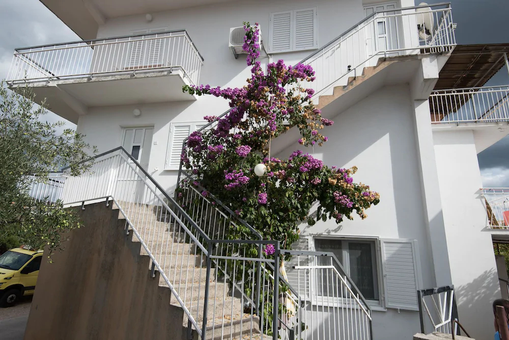 Apartments Marko