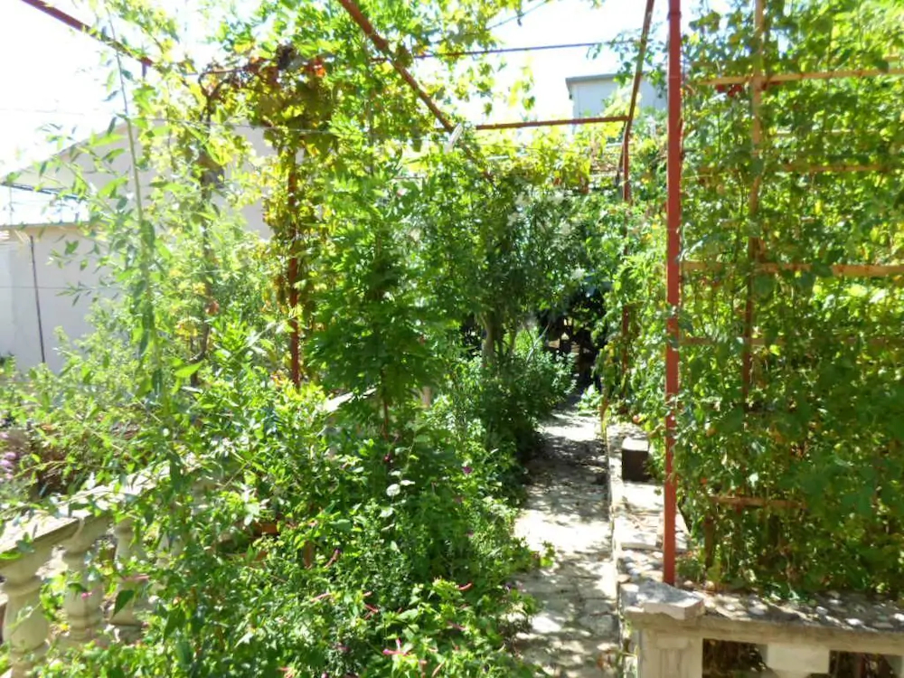 Apartments Miodrag