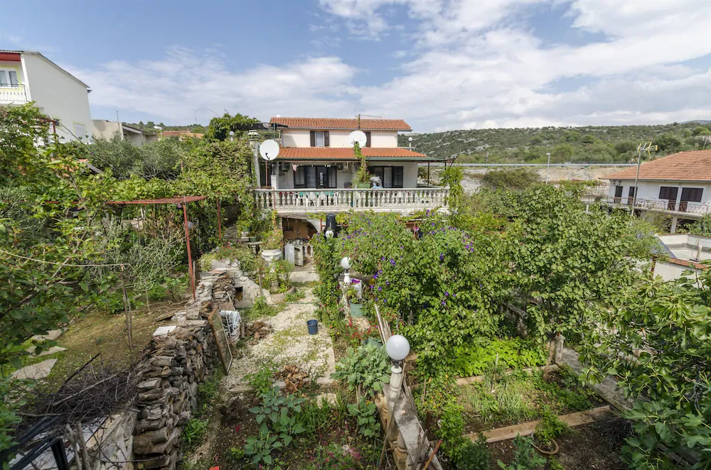 Apartments Miodrag