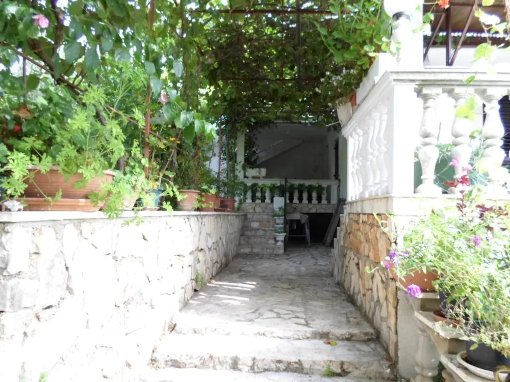 Apartments Miodrag