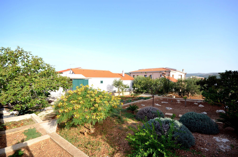 Apartments Mirta