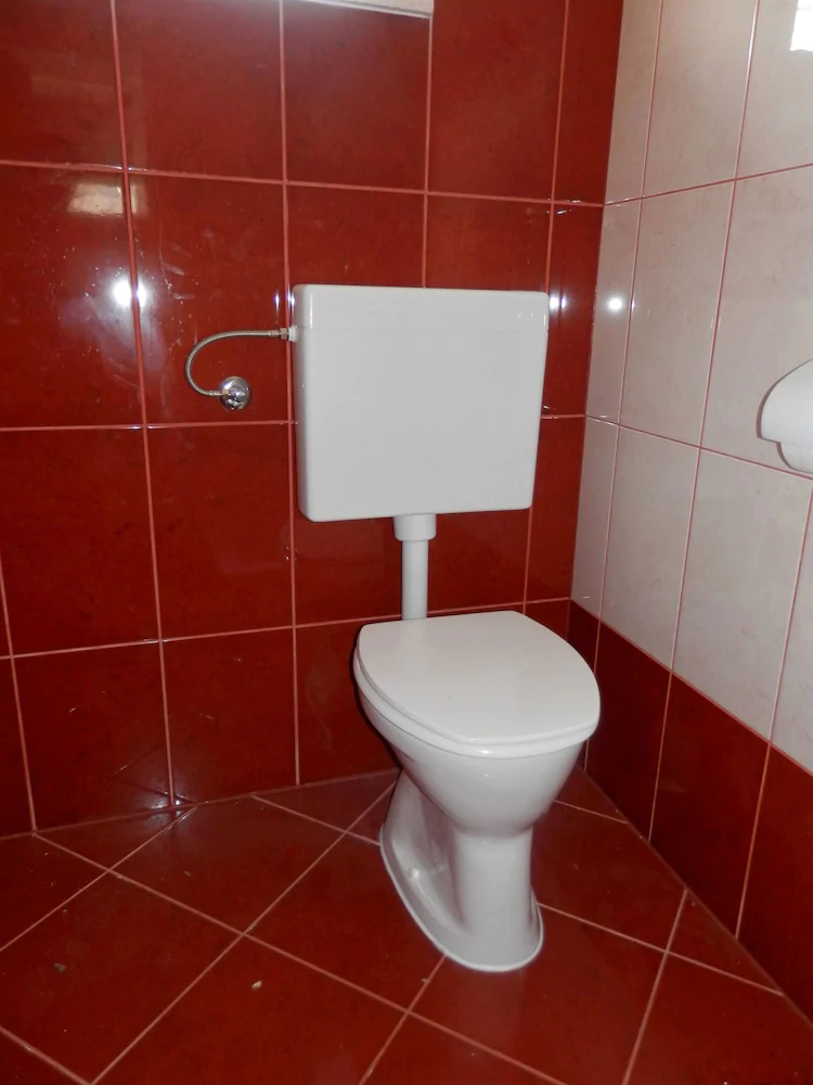 House Vaso