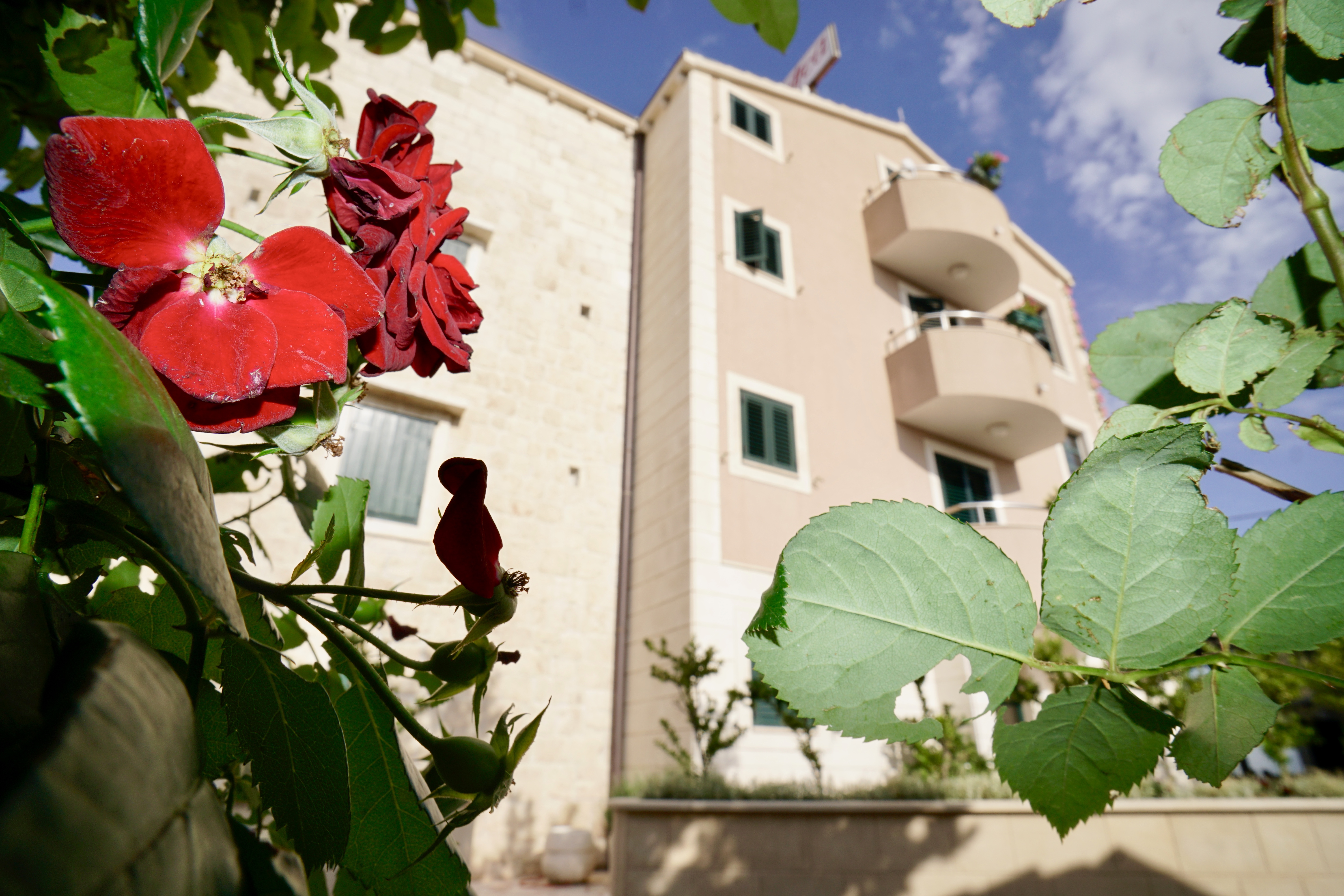 Villa Rustica Dalmatia