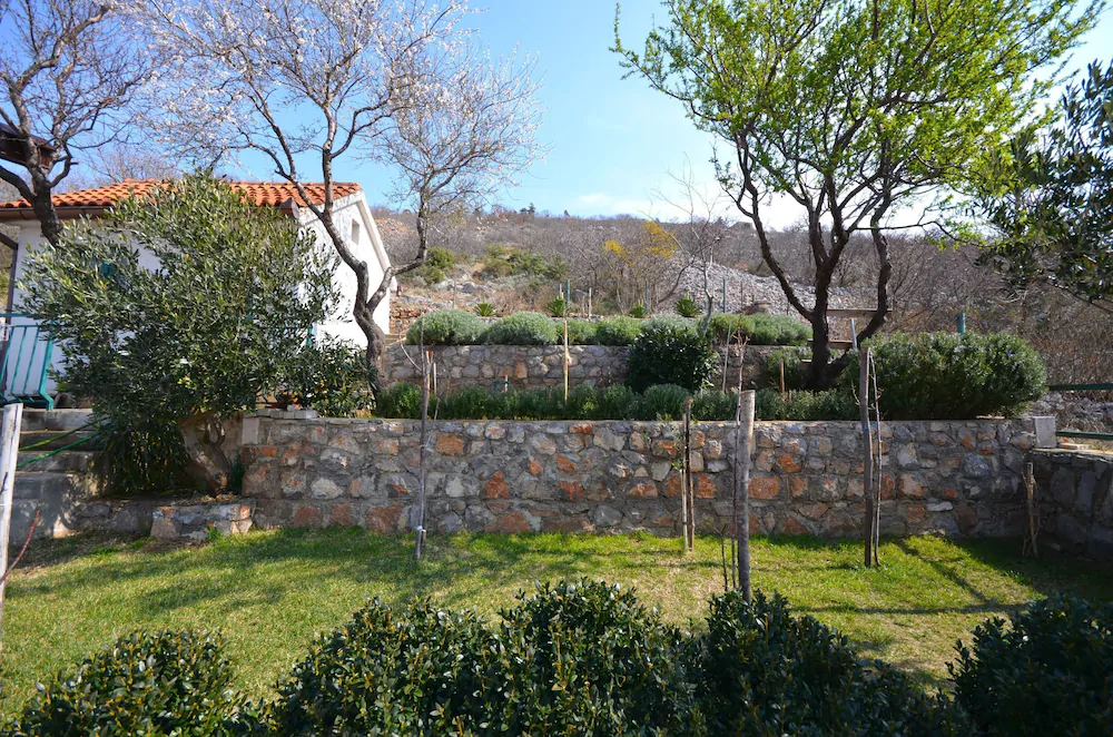 Apartment Ljubica