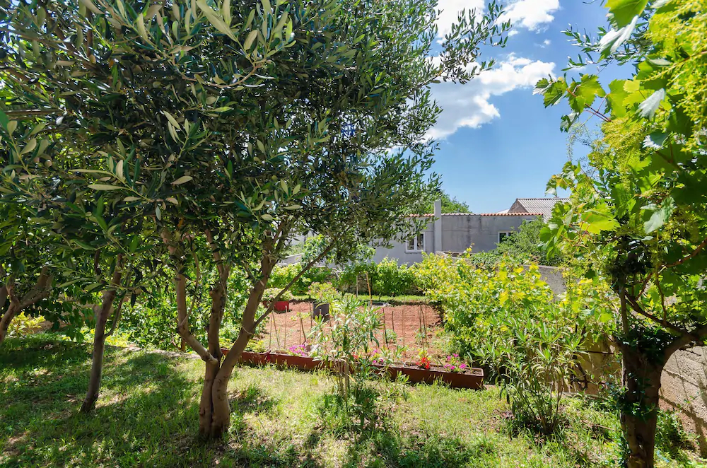 Apartments Cvita