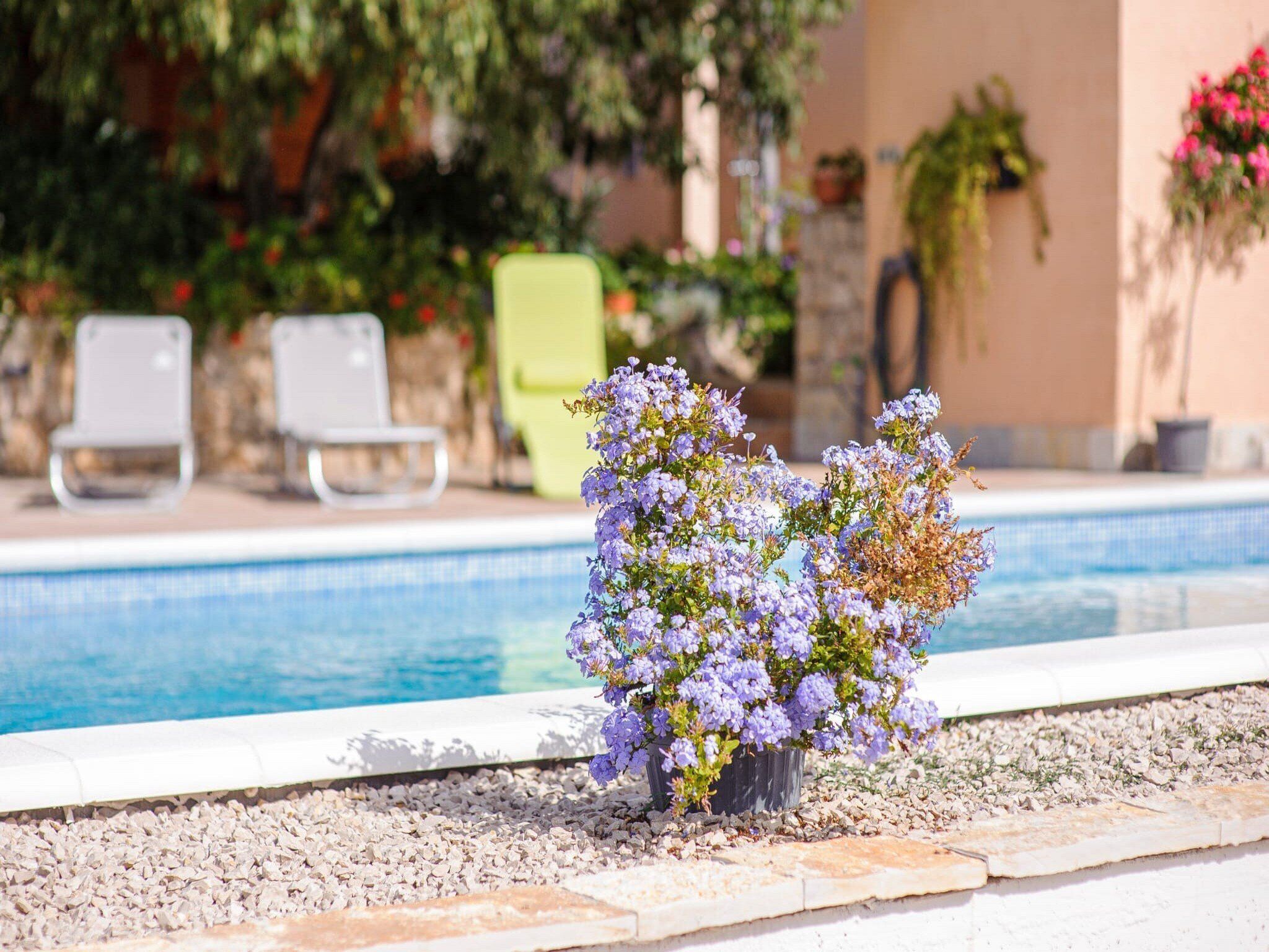 Holiday Home Rokoko