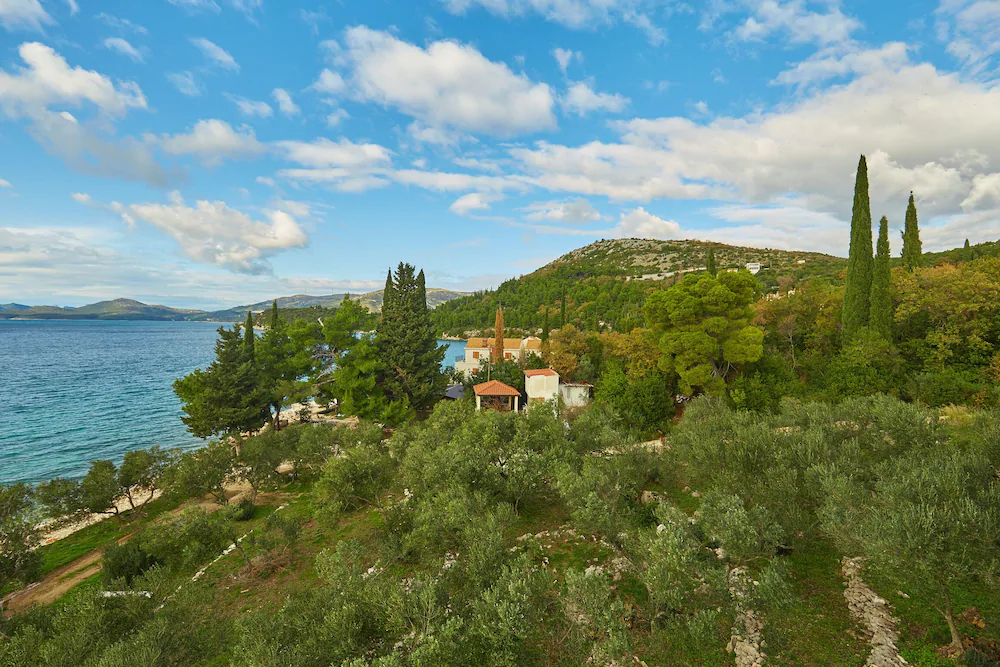 Hedera Estate Villa Hedera XV