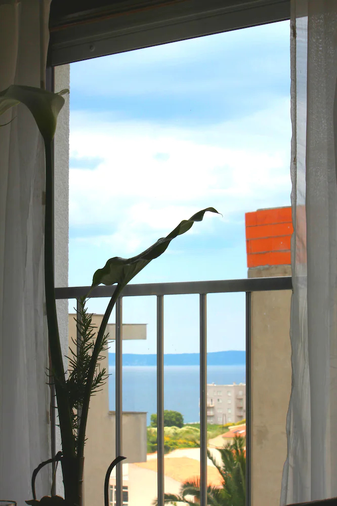 Apartments Cordis