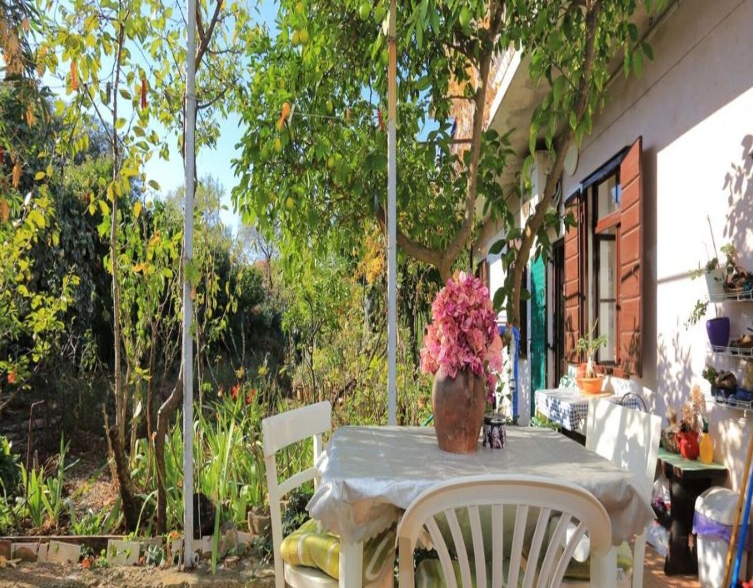 Apartments Rosa