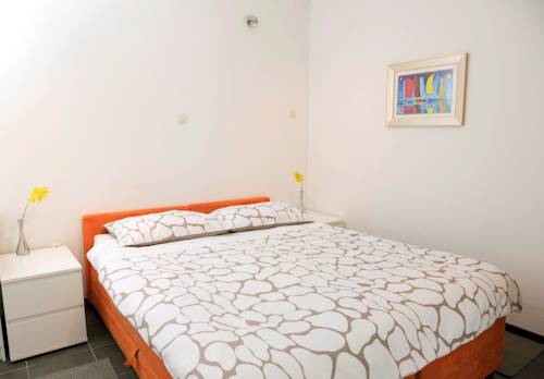 Blue Tree Rooms