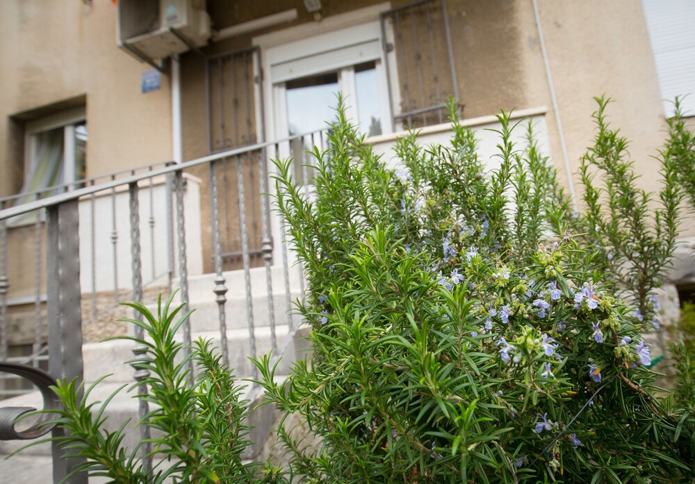 Cro Jet Set Apartments