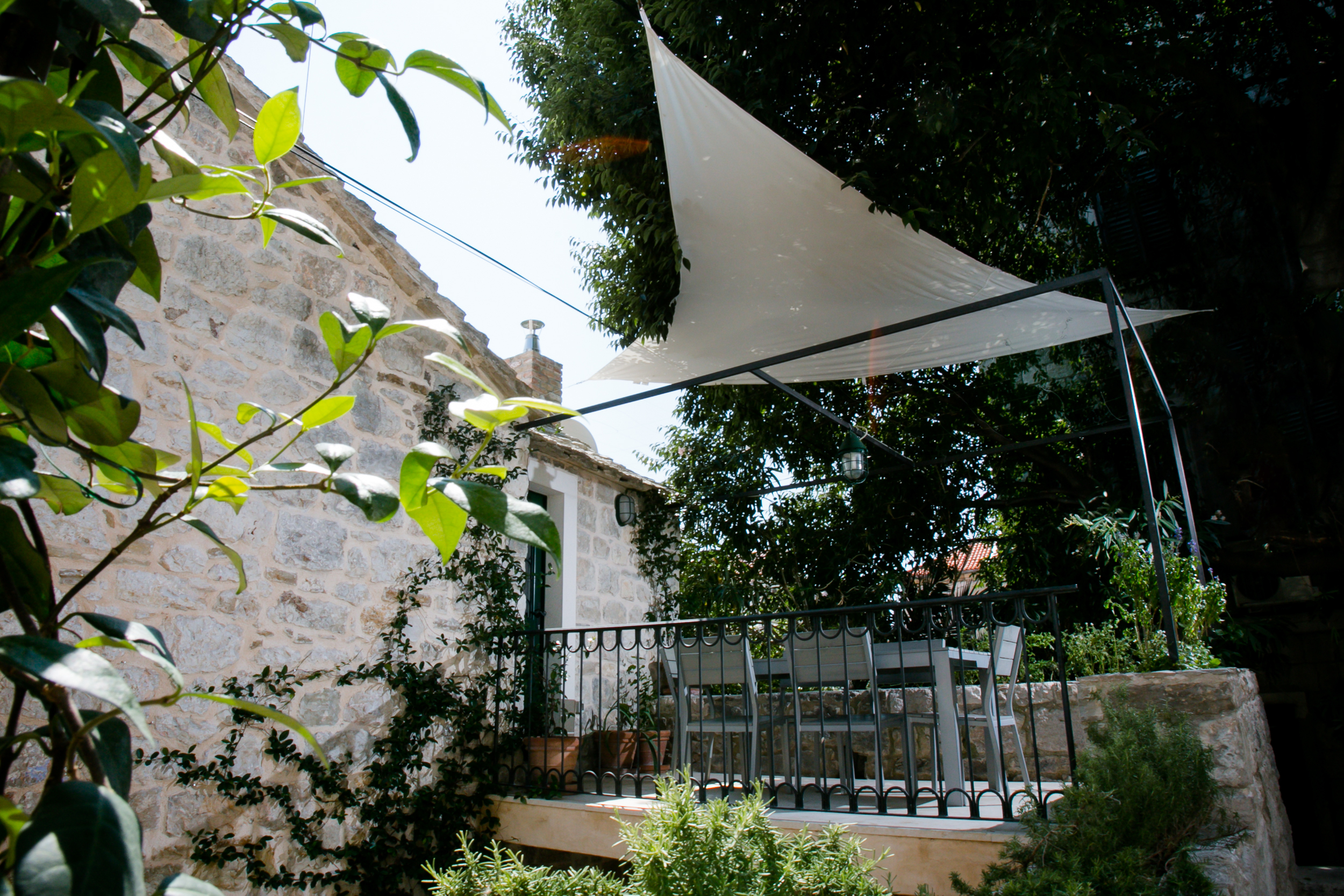 Divota