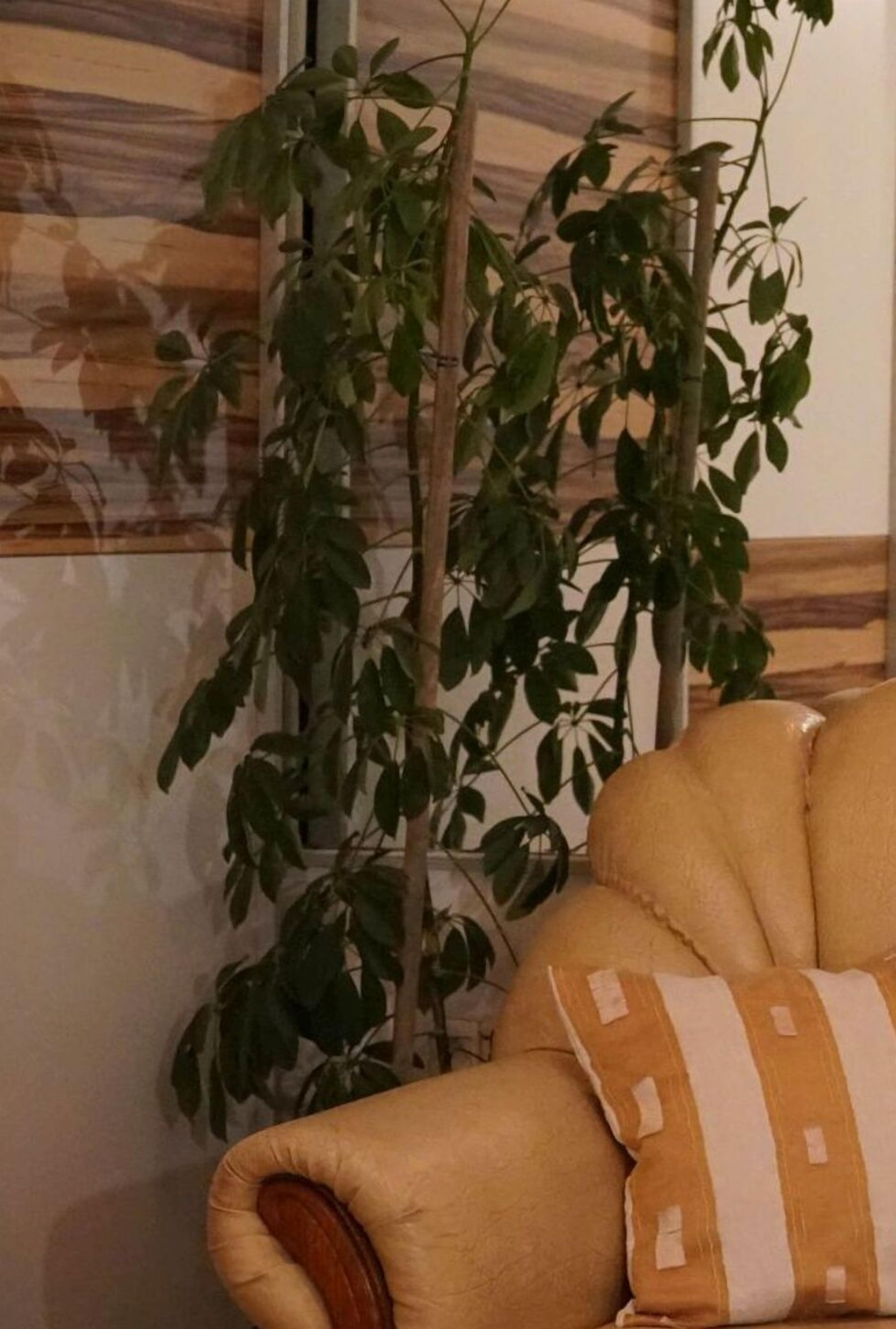 Duplex Apartment Tinel