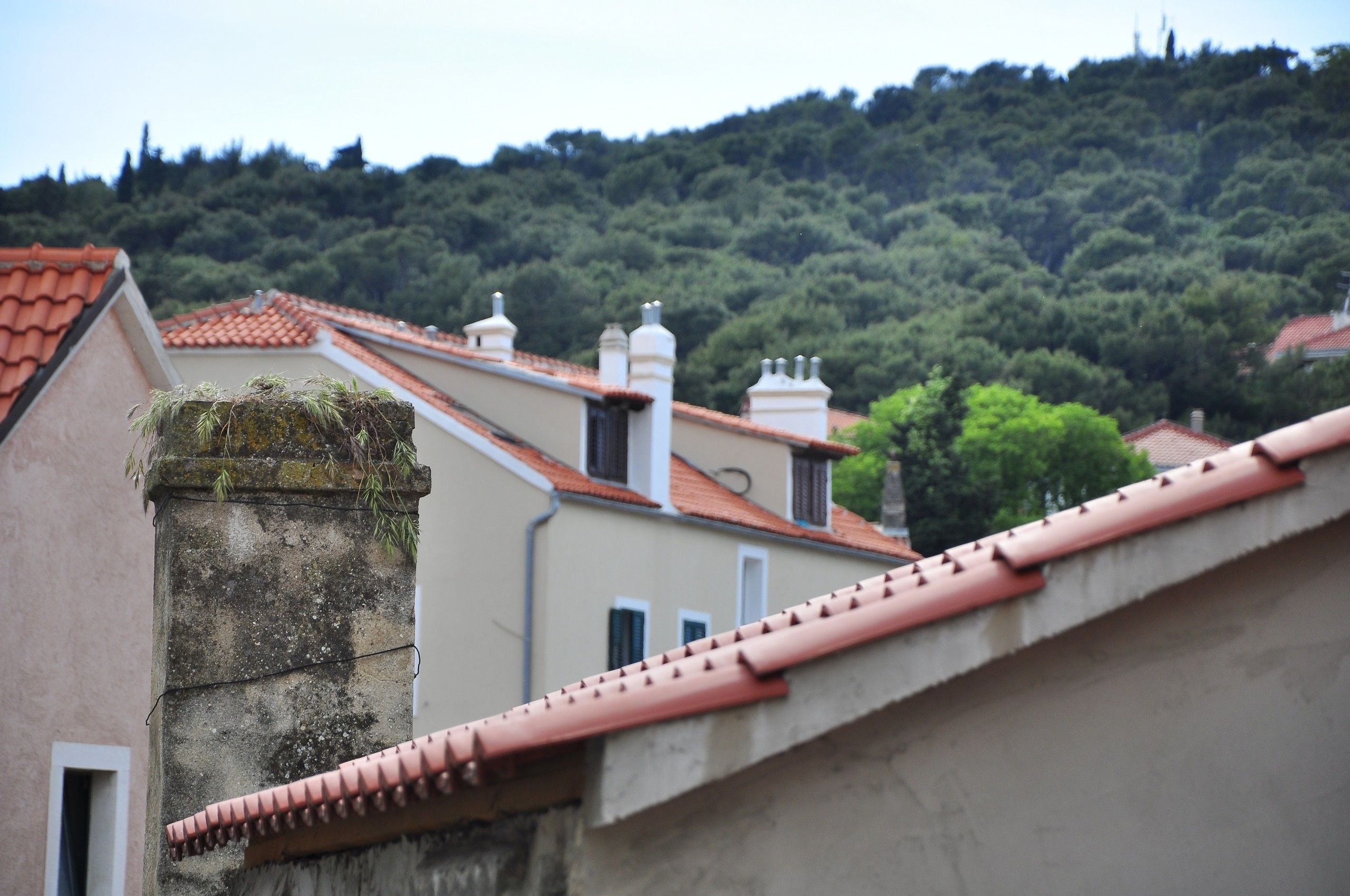 Guest House Stagnja