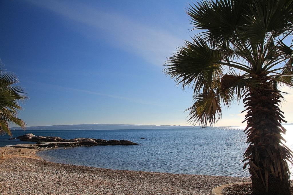 Hotel Fanat