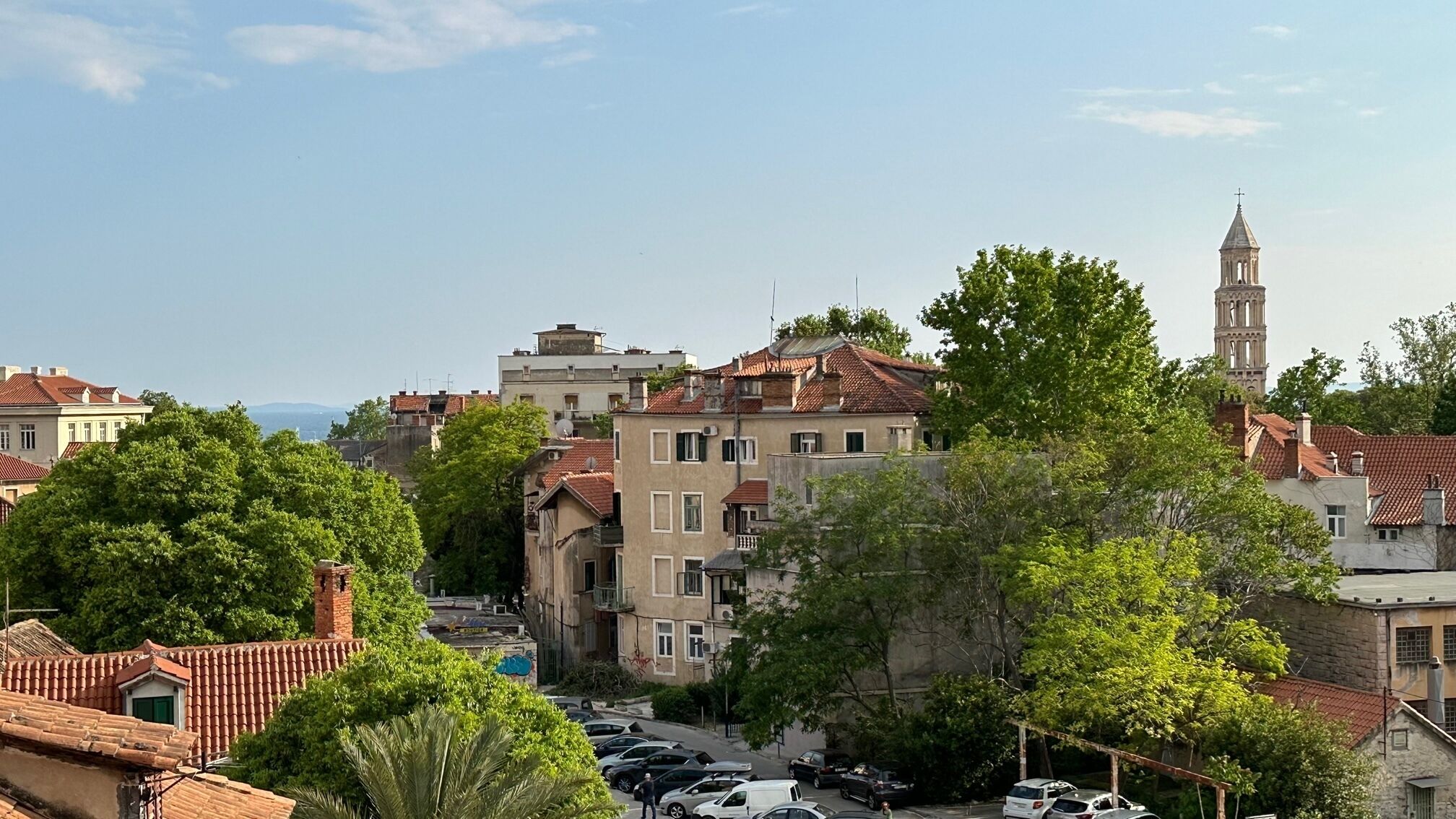 Iris Oasis