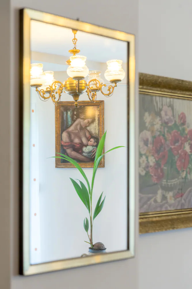 Apartments Mariot