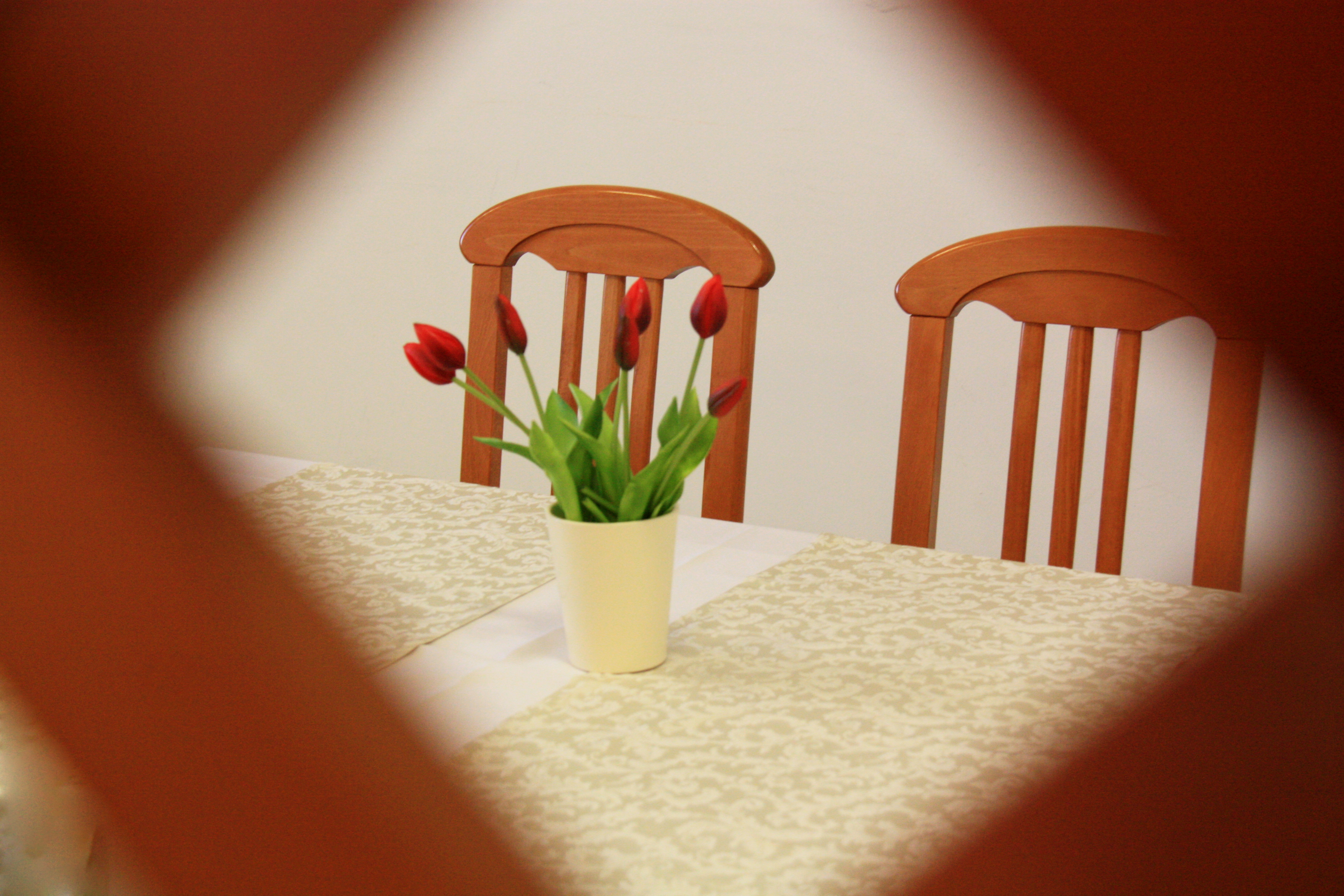 Omladinski Hostel