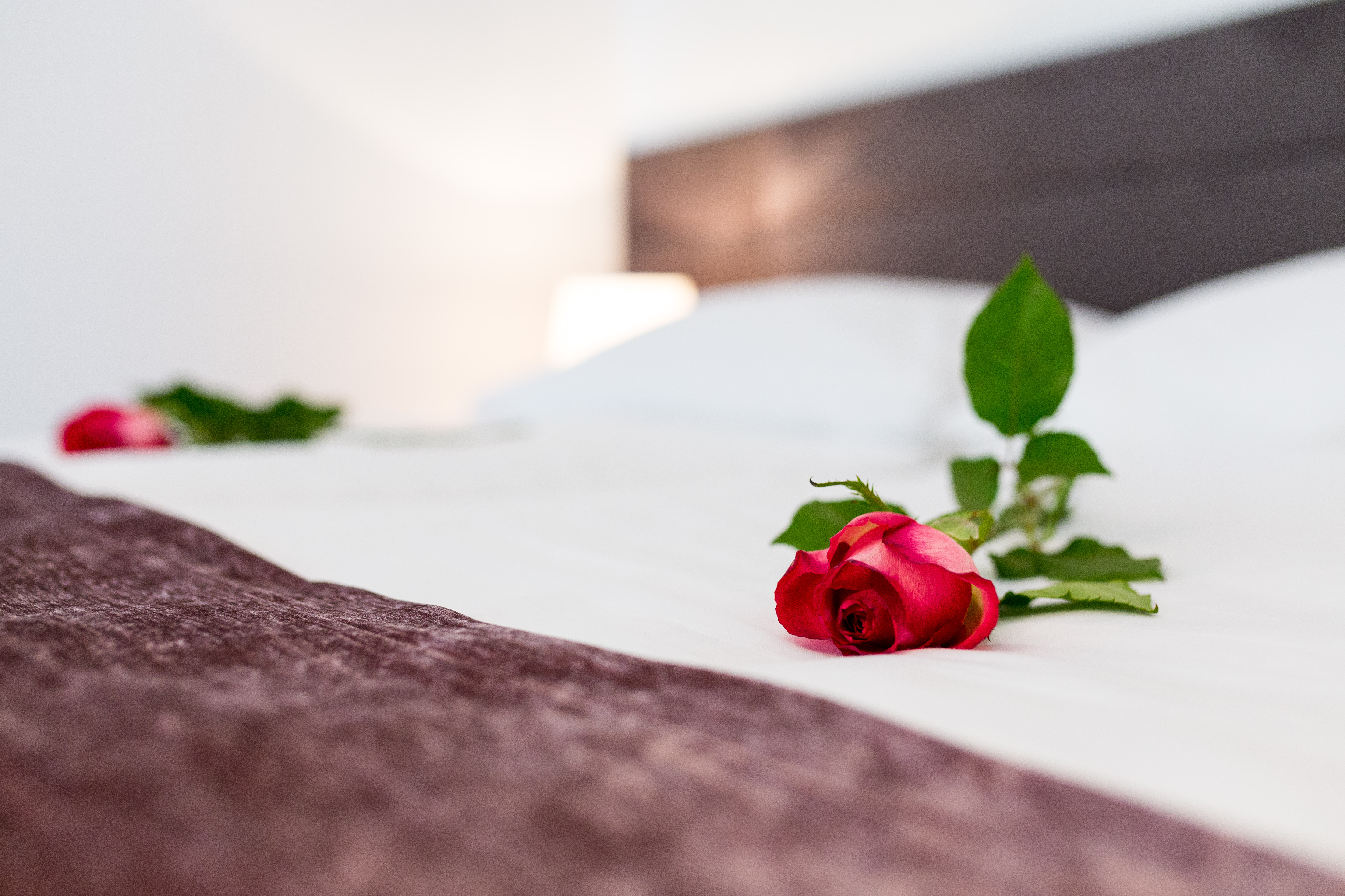 Starlight Luxury Rooms