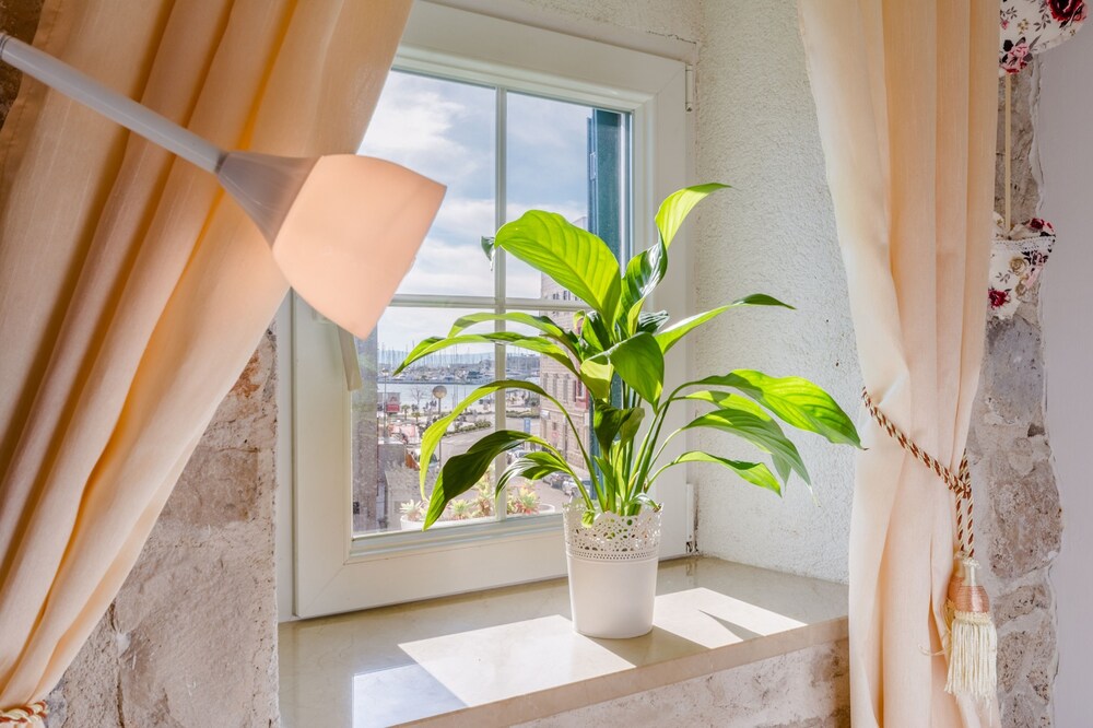 Studio Apartments Sv. Duje