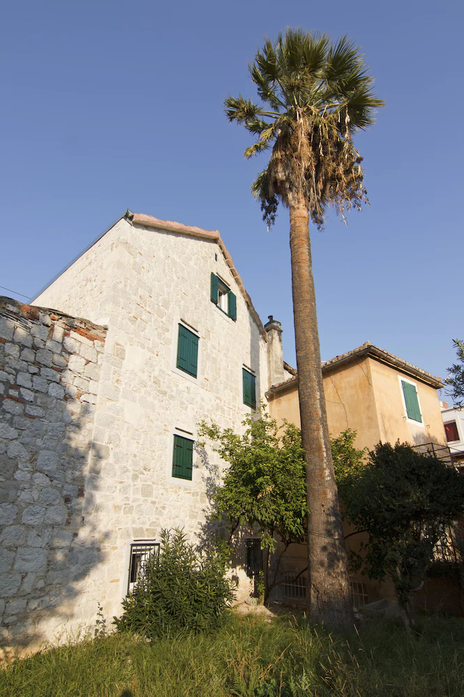 Vila Baguc