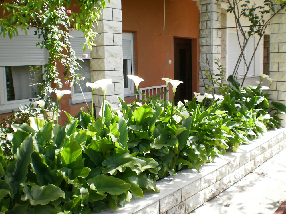 Vila Marija