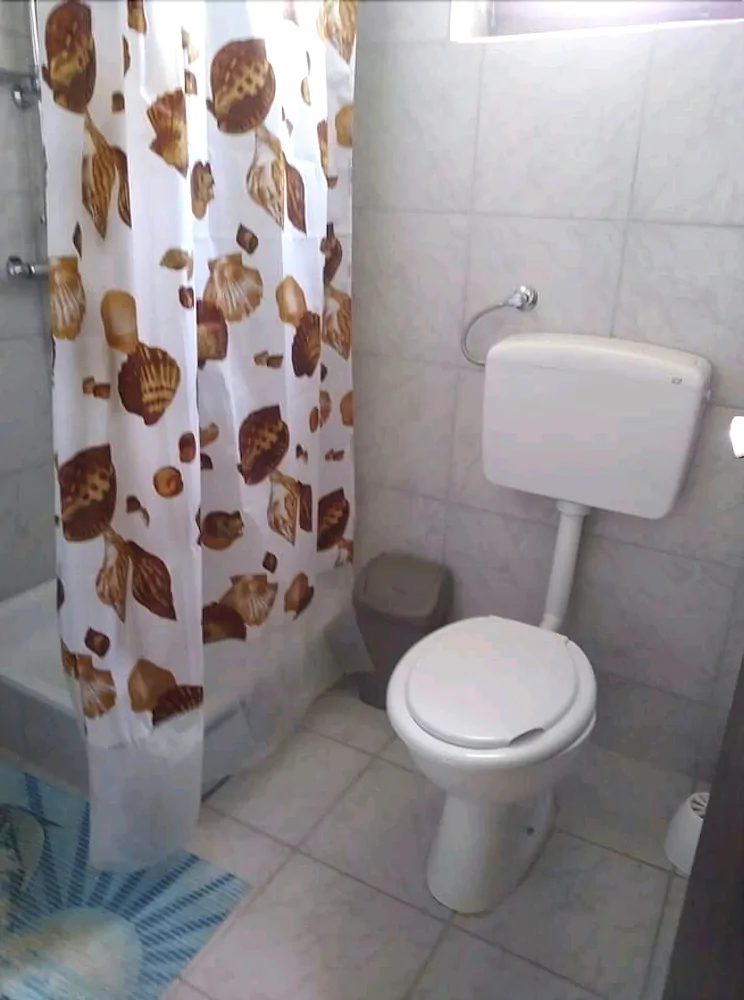 Apartments Svitlana