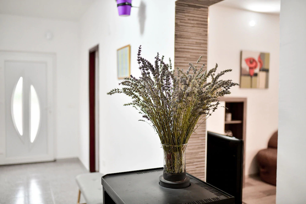 House Gabriela