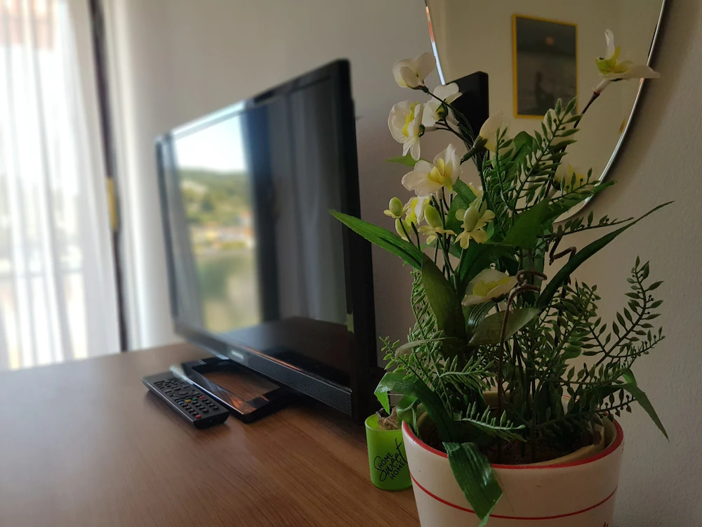 Apartments Rajko