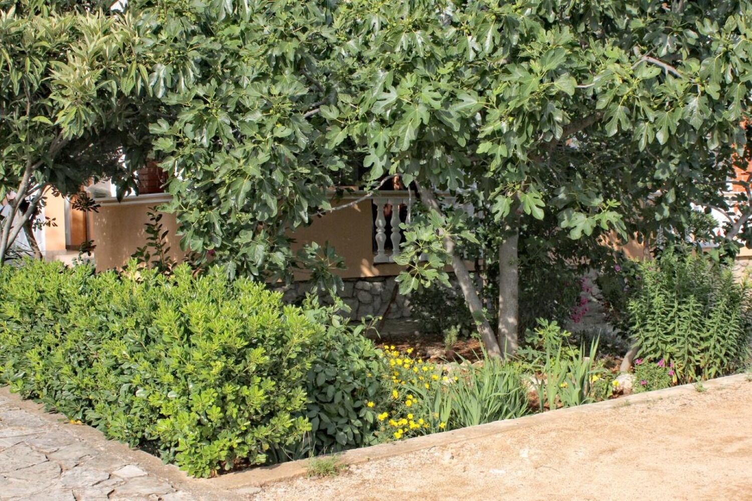 Apartments Slavica