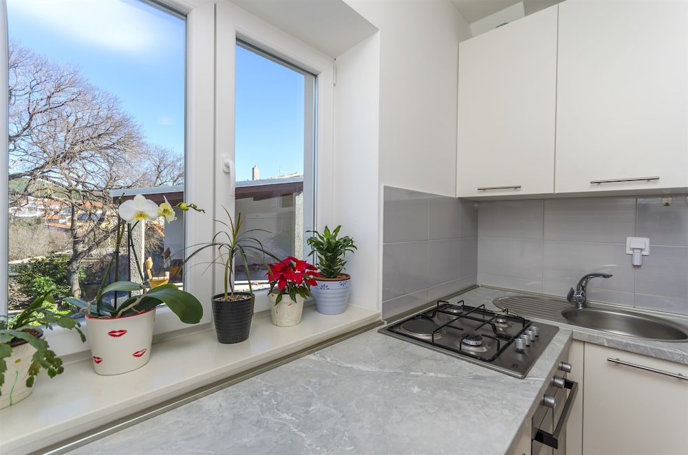 Apartment Franka