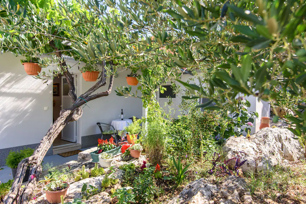 Apartments Beba