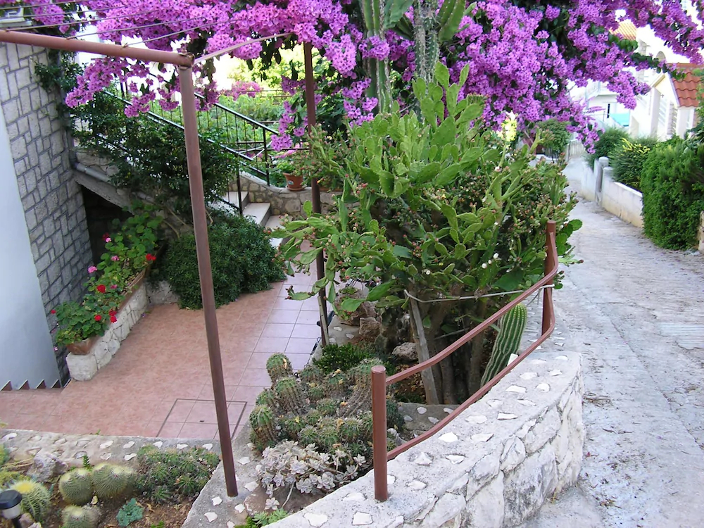 Apartments Katica