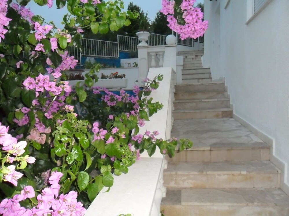 Apartments Nena