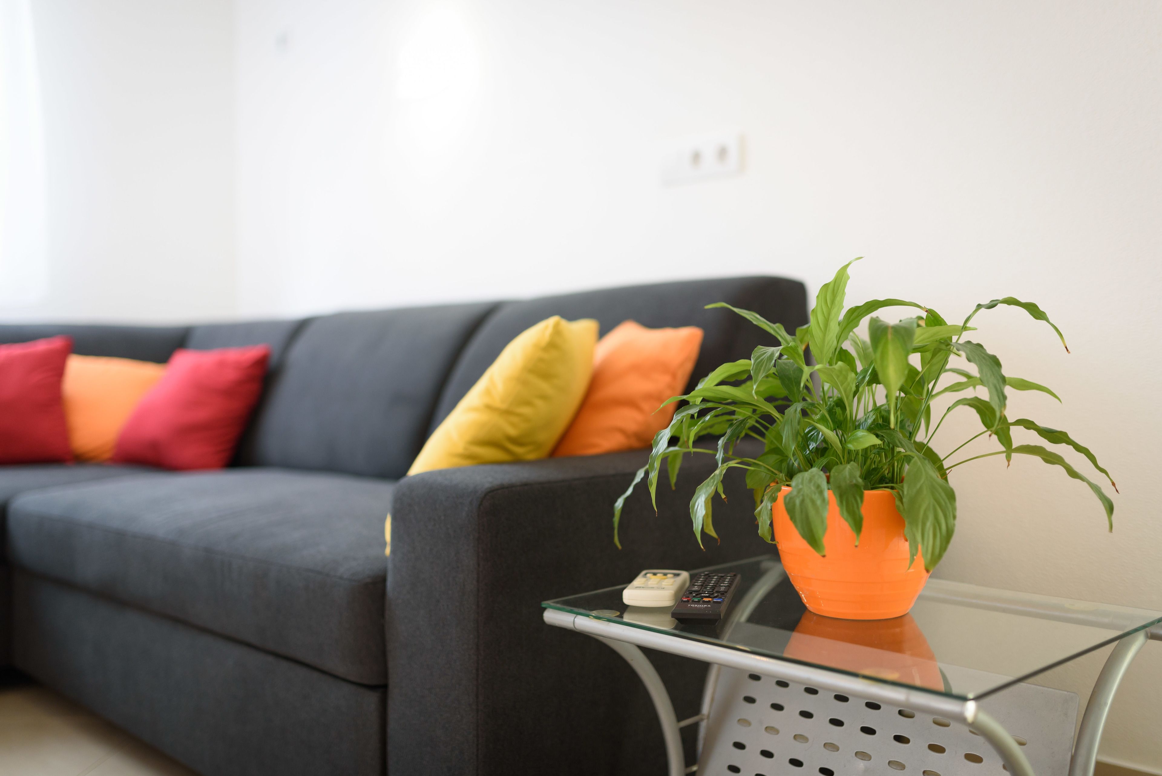 Apartments Salona