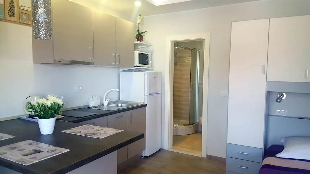 Apartments Viola